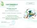 Сертификат-Бондарь-Н