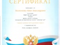 Сертификат-Васильченко-1